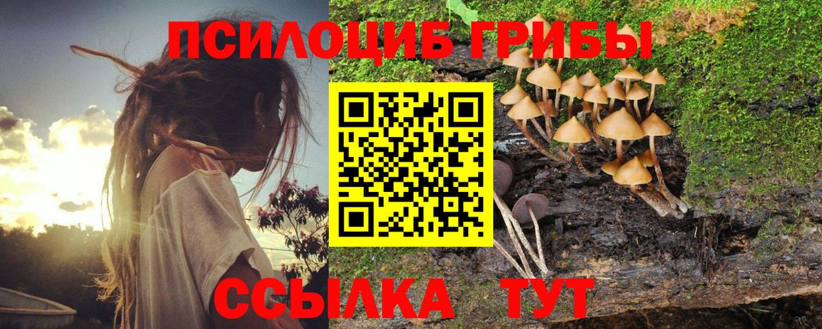 Касимов  Псилоцибиновые грибы Cubensis  Вход с VPN 